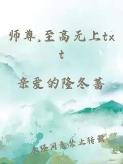师尊,至高无上txt