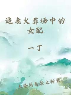 追妻火葬场中的女配