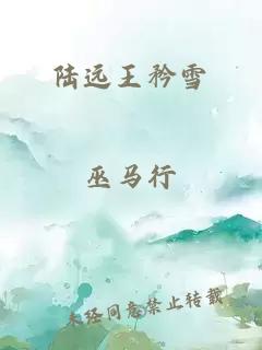 陆远王矜雪
