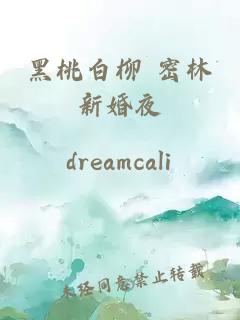 黑桃白柳 密林新婚夜