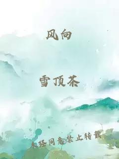 风向