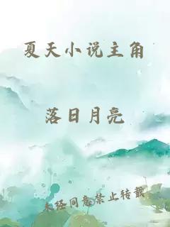 夏天小说主角