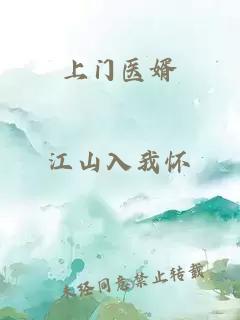 上门医婿