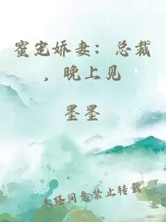蜜宠娇妻：总裁，晚上见