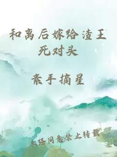 和离后嫁给渣王死对头