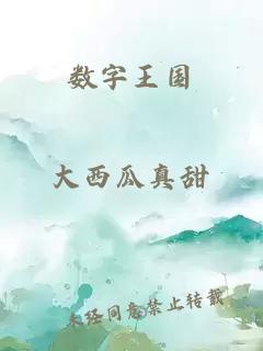 数字王国