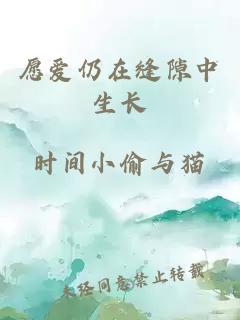 愿爱仍在缝隙中生长