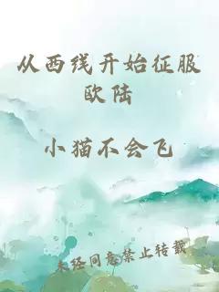 从西线开始征服欧陆