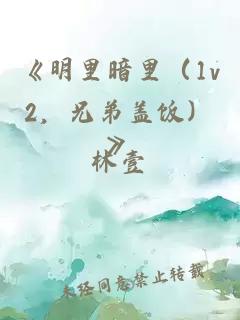 《明里暗里（1v2，兄弟盖饭）》