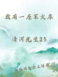 我有一座军火库